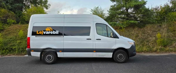 varebil-large-hoejre-side